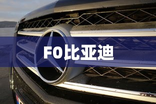 F0比亚迪  第1张