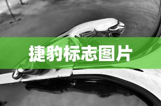 捷豹标志图片  第1张