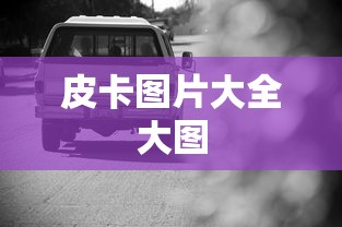 皮卡图片大全大图  第1张