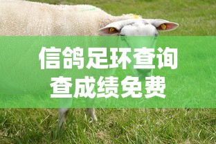 萌将轰轰轰官网  第1张