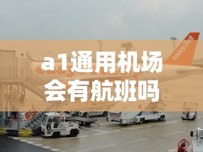 a1通用机场会有航班吗  第1张
