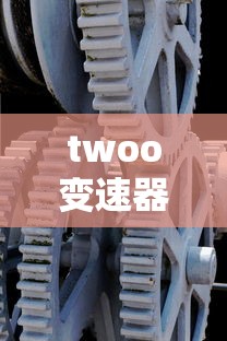 twoo变速器  第1张