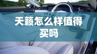 天籁怎么样值得买吗  第1张