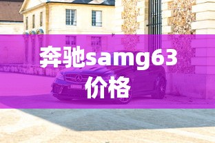奔驰samg63价格  第1张