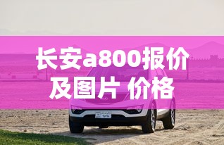 长安a800报价及图片 价格  第1张