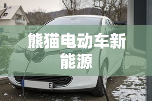 熊猫电动车新能源  第1张