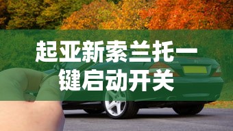起亚新索兰托一键启动开关  第1张