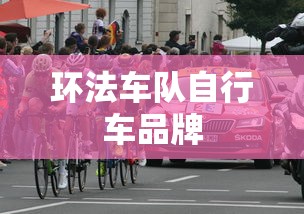 环法车队自行车品牌  第1张