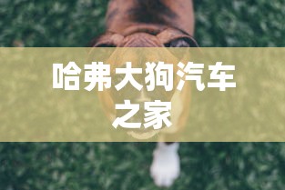 哈弗大狗汽车之家  第1张