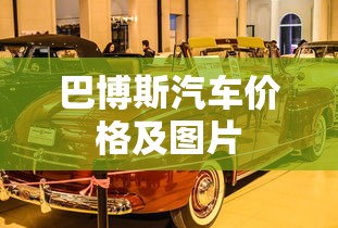 巴博斯汽车价格及图片  第1张