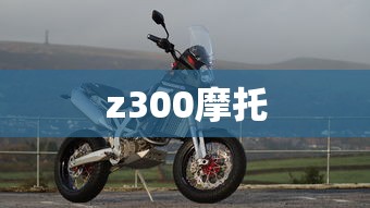 z300摩托  第1张