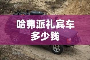 哈弗派礼宾车多少钱  第1张