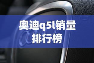 奥迪q5l销量排行榜  第1张
