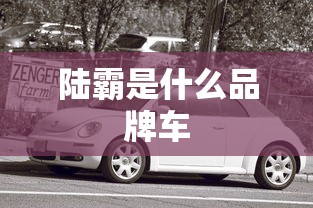 陆霸是什么品牌车  第1张