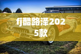 fj酷路泽2025款  第1张