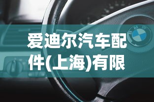 爱迪尔汽车配件(上海)有限公司  第1张