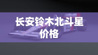 长安铃木北斗星价格  第1张