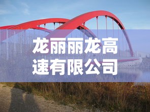 龙丽丽龙高速有限公司  第1张