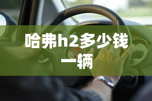 哈弗h2多少钱一辆  第1张