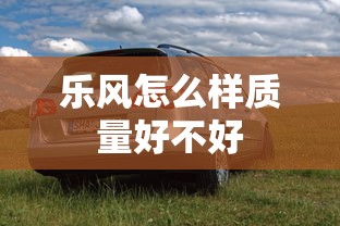 乐风怎么样质量好不好  第1张