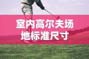 室内高尔夫场地标准尺寸  第1张