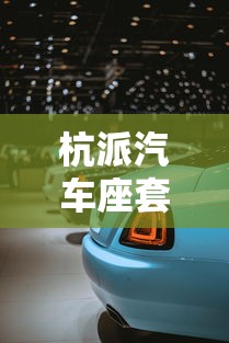 杭派汽车座套怎么样  第1张