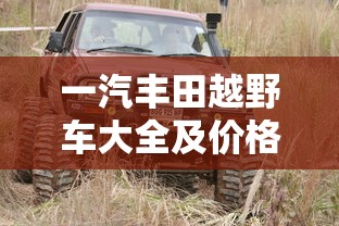 一汽丰田越野车大全及价格  第1张