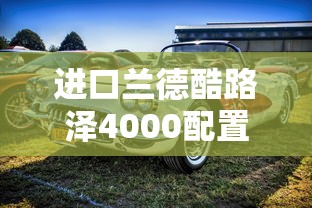 进口兰德酷路泽4000配置参数  第1张