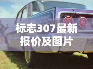 标志307最新报价及图片  第1张