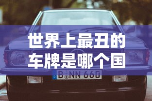世界上最丑的车牌是哪个国家的  第1张