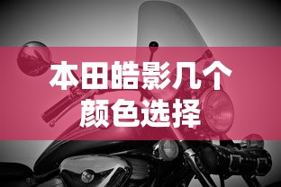 本田皓影几个颜色选择  第1张