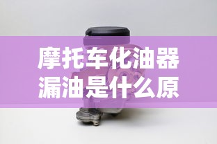 摩托车化油器漏油是什么原因,该怎样维修  第1张