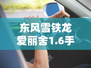 东风雪铁龙爱丽舍1.6手动  第1张