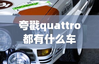 夸戳quattro都有什么车  第1张