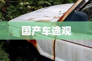 国产车途观  第1张