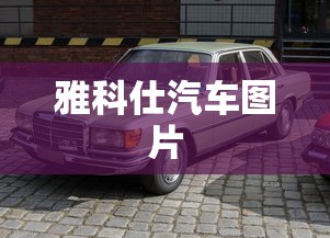 雅科仕汽车图片  第1张