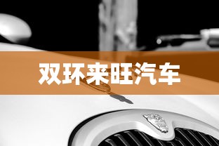 双环来旺汽车  第1张