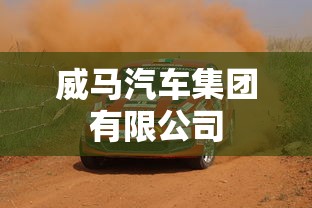 威马汽车集团有限公司  第1张
