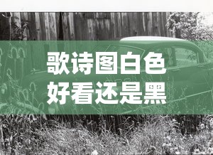 歌诗图白色好看还是黑色好看  第1张