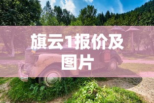 旗云1报价及图片  第1张