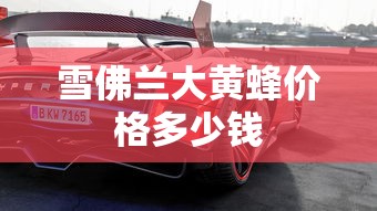 雪佛兰大黄蜂价格多少钱  第1张
