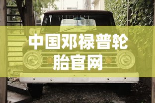 中国邓禄普轮胎官网  第1张