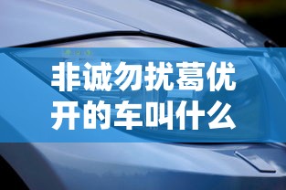 非诚勿扰葛优开的车叫什么  第1张