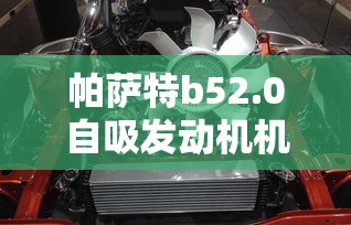 帕萨特b52.0自吸发动机机油抽还是放干净  第1张