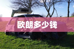欧朗多少钱  第1张