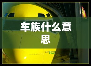 车族什么意思  第1张