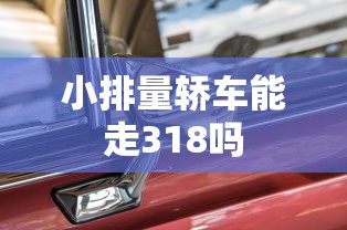 小排量轿车能走318吗  第1张
