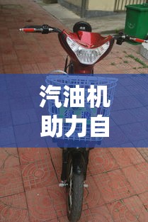 汽油机助力自行车价格图片  第1张