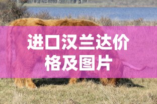 进口汉兰达价格及图片  第1张