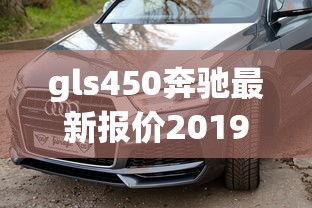 gls450奔驰最新报价2019款多少钱  第1张